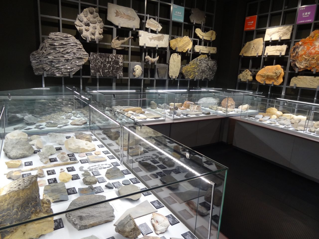 🌊 비취 해안 (히스이 카이간) 이미지 6